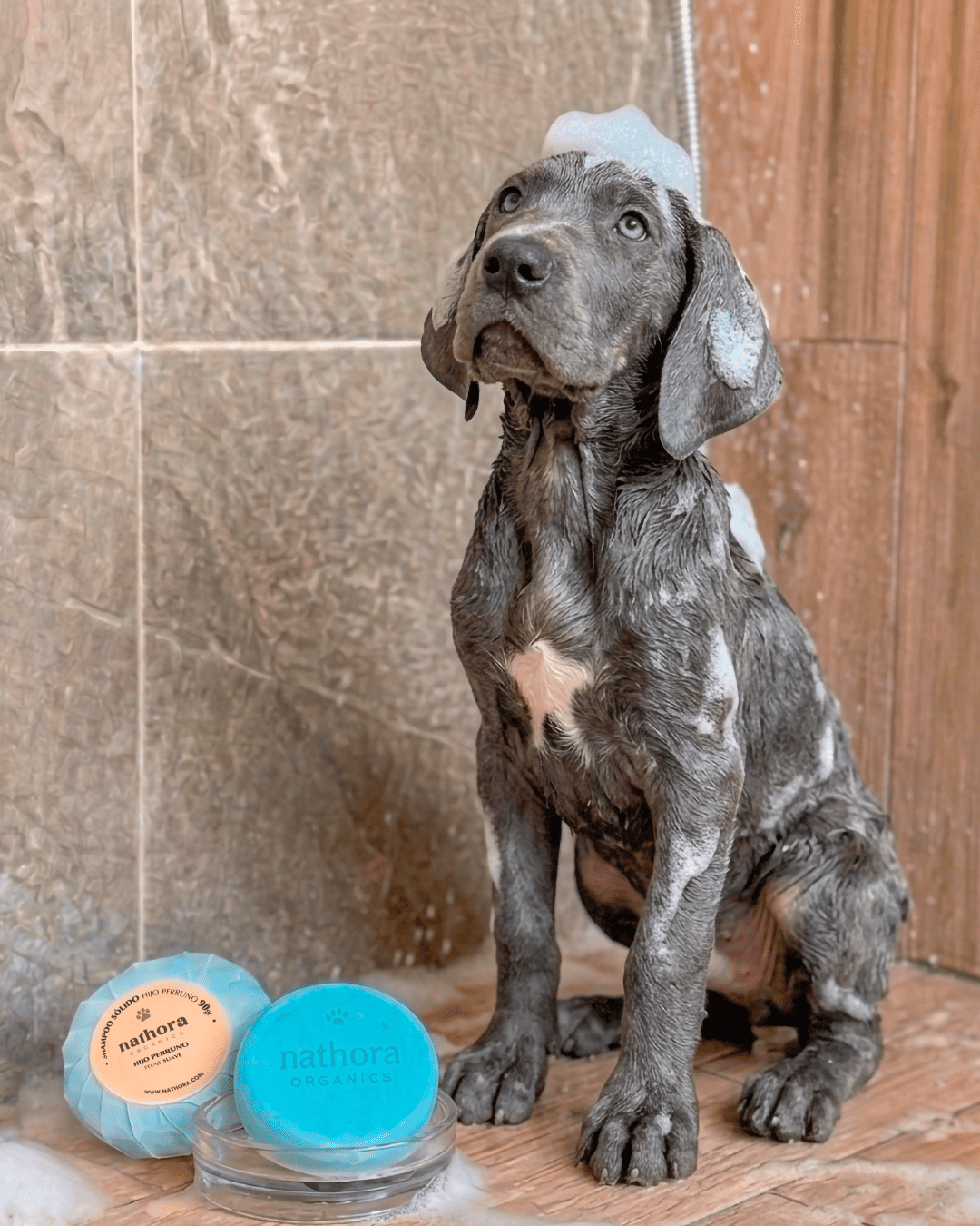 Shampoo Sólido Calmante para Perros